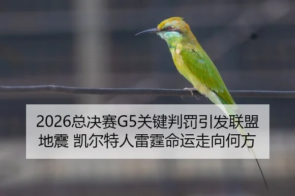 zong-jue-sai-guan-jian-pan-fa-yin-fa-lian-meng-di-zhen-kai-er-te-ren-lei-ting-ming-yun-zou-xiang-he-fang-2-885.jpg