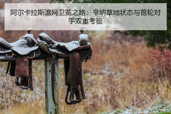 a-er-ka-la-si-wen-wang-wei-mian-zhi-lu-xin-na-cao-di-zhuang-tai-yu-shou-lun-dui-shou-shuang-chong-kao-yan-2-518.jpg